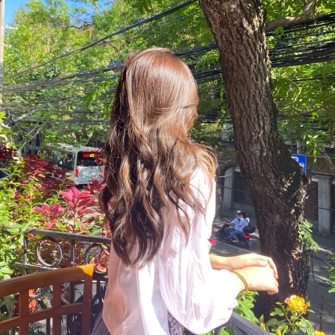 那朵花的名字叫白兰