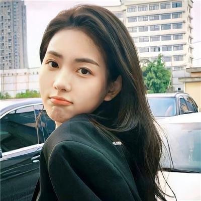 西夏死书